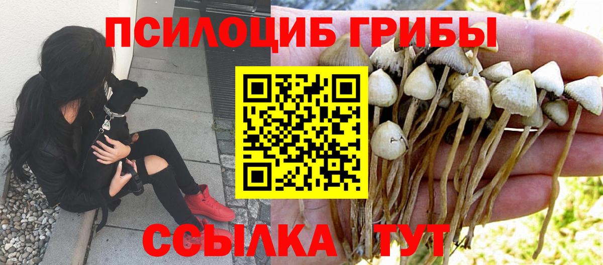 Заводоуковск  Галлюциногенные грибы Magic Shrooms  Псилоцибиновые грибы мицелий  Вход с VPN 